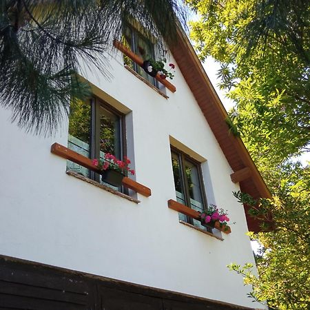 Pele Vendeghaz Villa Velem Kültér fotó