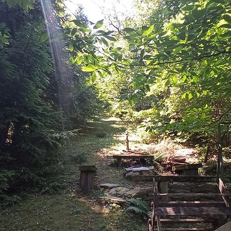 Pele Vendeghaz Villa Velem Kültér fotó