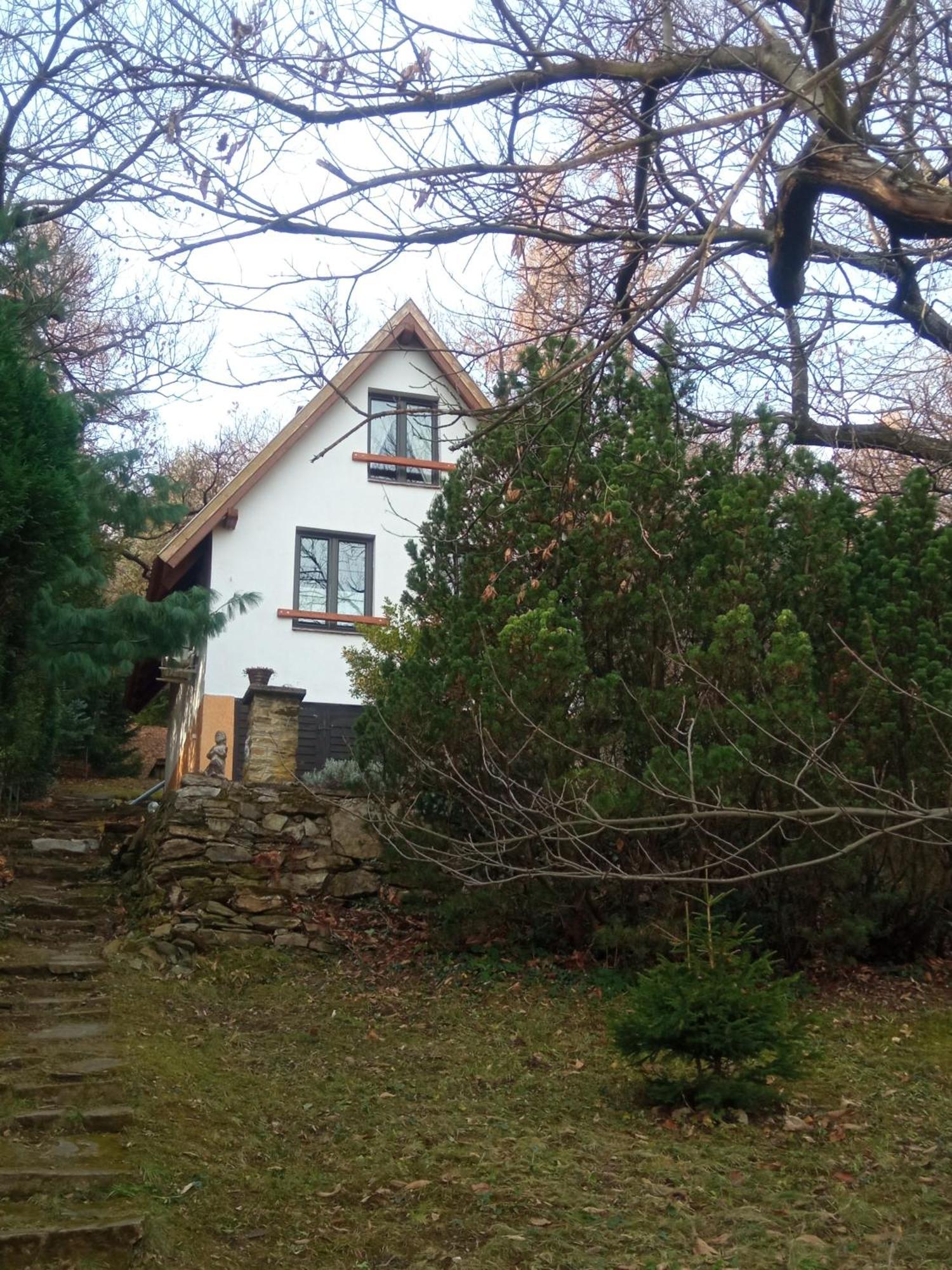 Pele Vendeghaz Villa Velem Kültér fotó