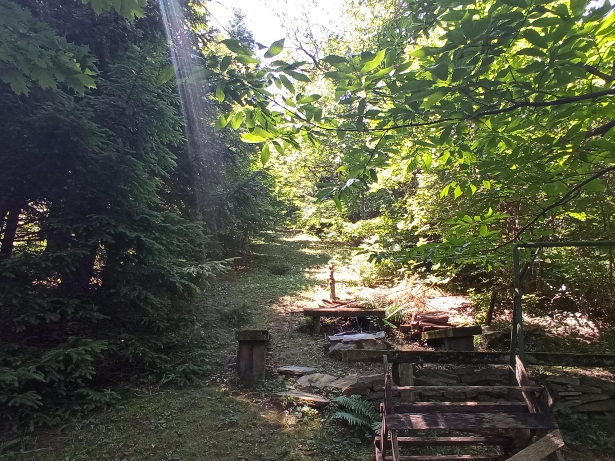 Pele Vendeghaz Villa Velem Kültér fotó