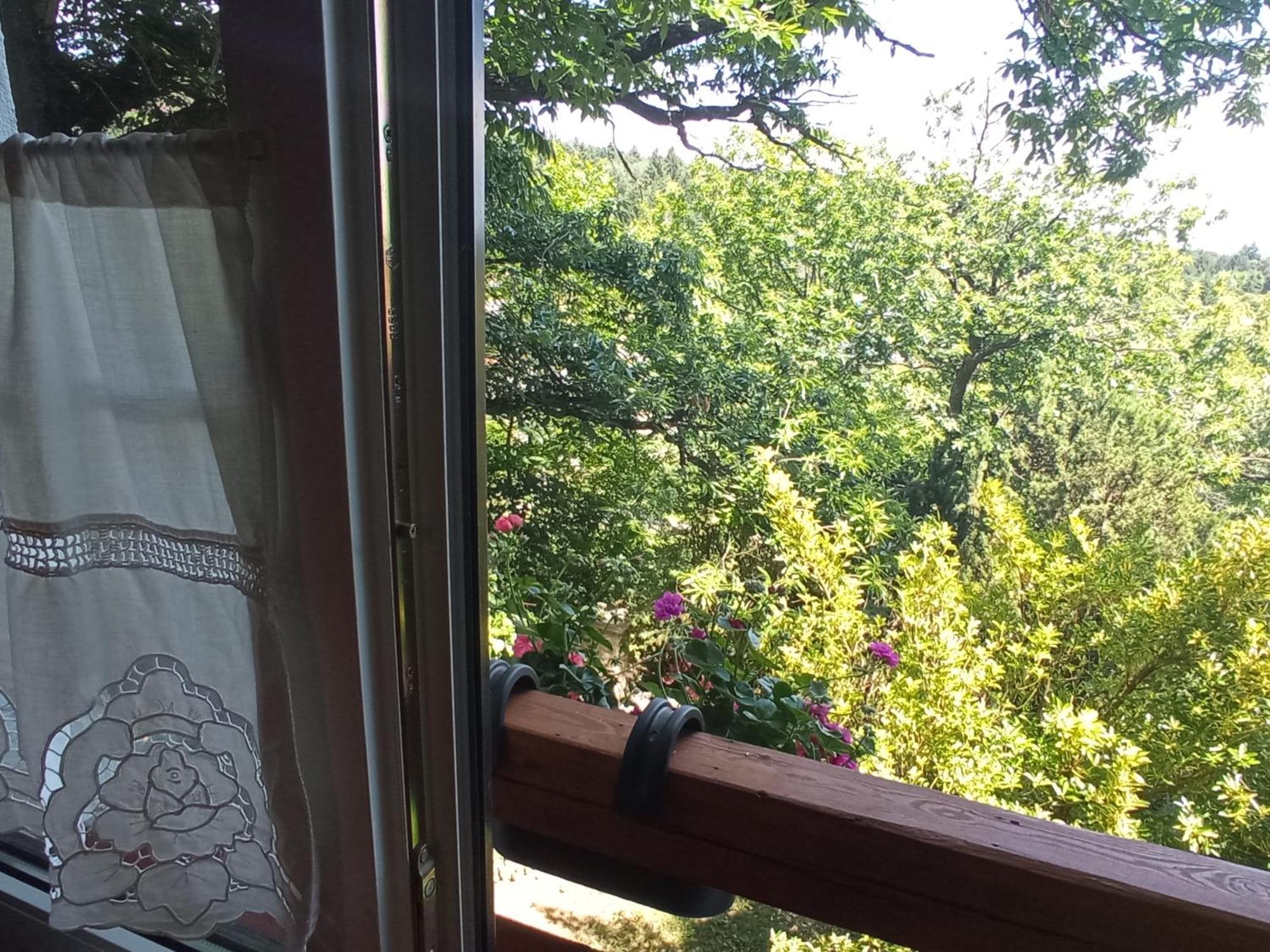 Pele Vendeghaz Villa Velem Kültér fotó